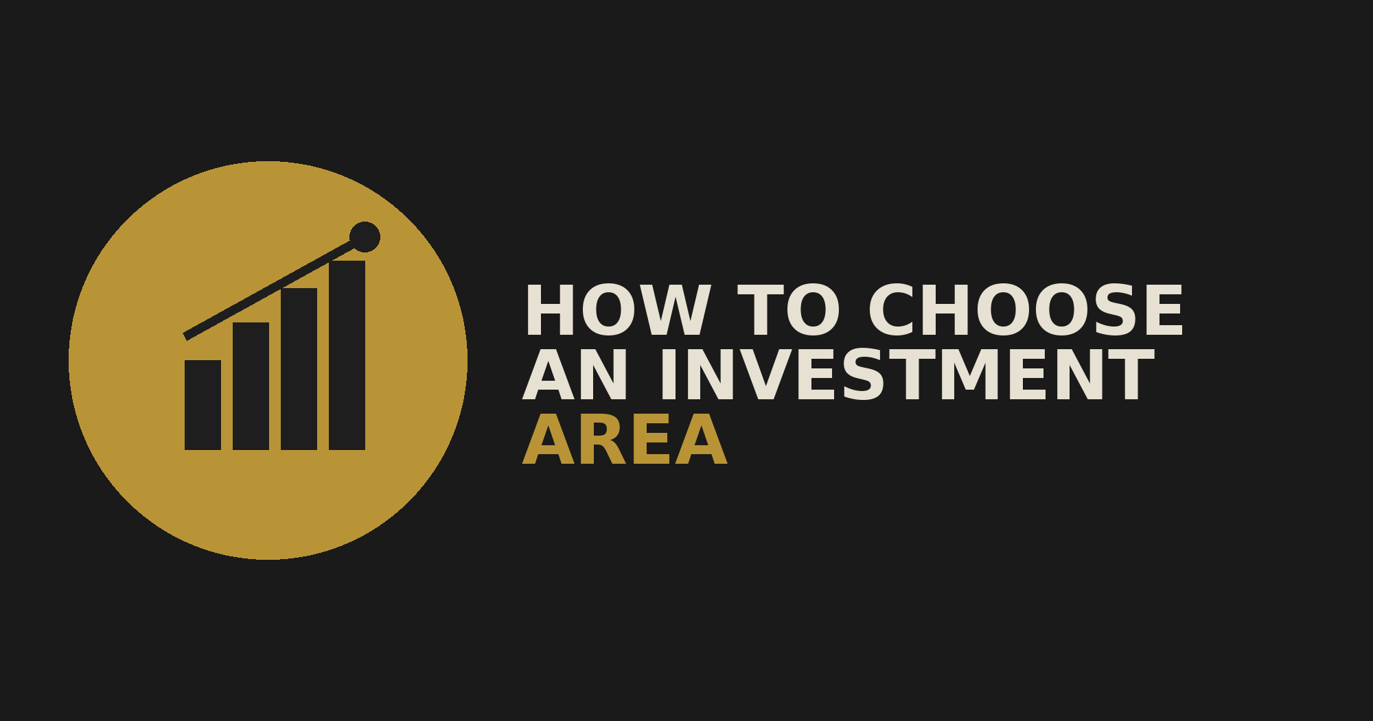 How to Choose an Investment Area cover